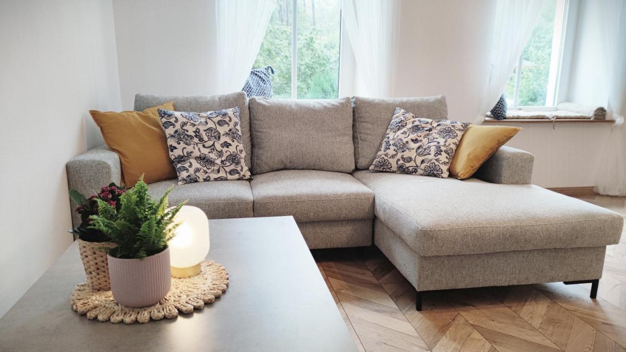 ヴァウブジフB&D Apartament Chelmiecアパートメント エクステリア 写真